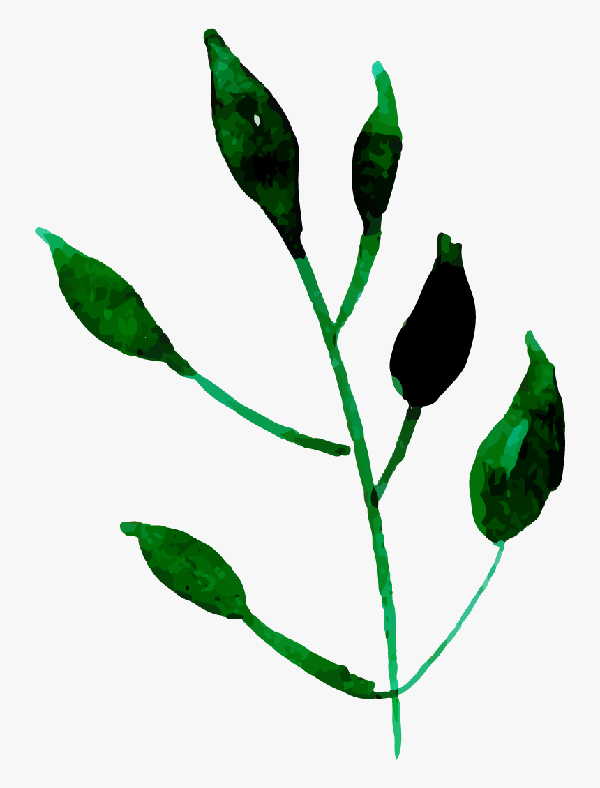 Bud, HD Png Download