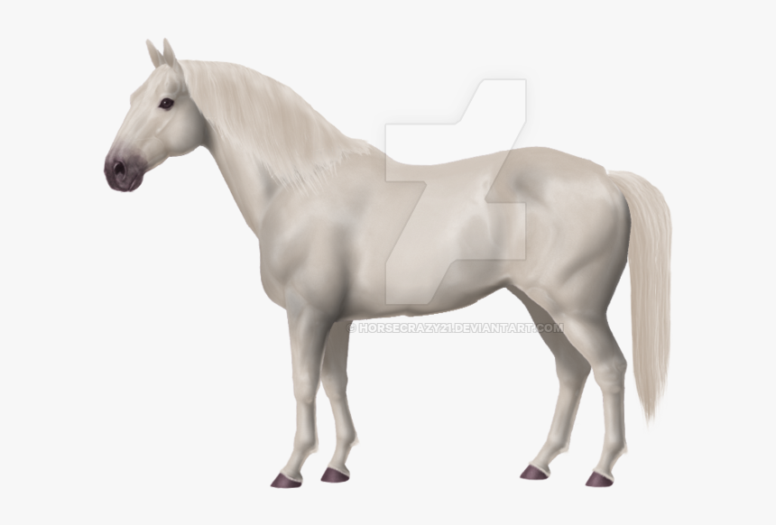 Thumb Image - White Horse Png, Transparent Png