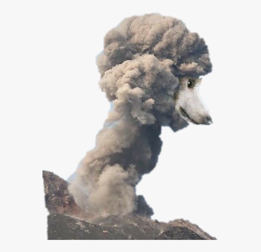 Poodle Explosion, HD Png Download