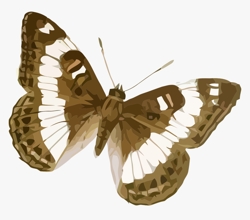 Brown And White Striped Butterfly, HD Png Download