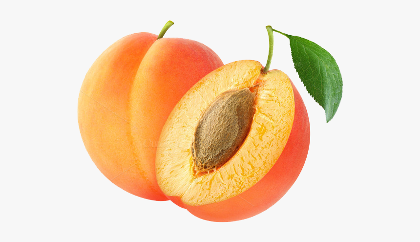 Apricot Kernel Amygdalin Fruit Almond - Apricot Transparent Png, Png Download