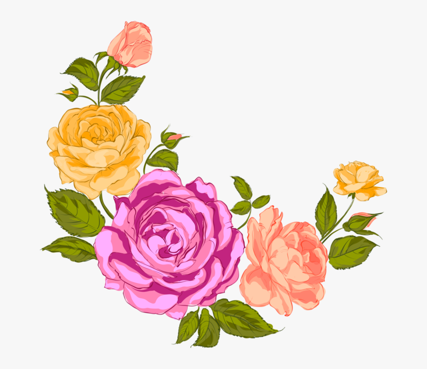 Drawing Compositions Flower Vector Transparent Library - Rose, HD Png Download