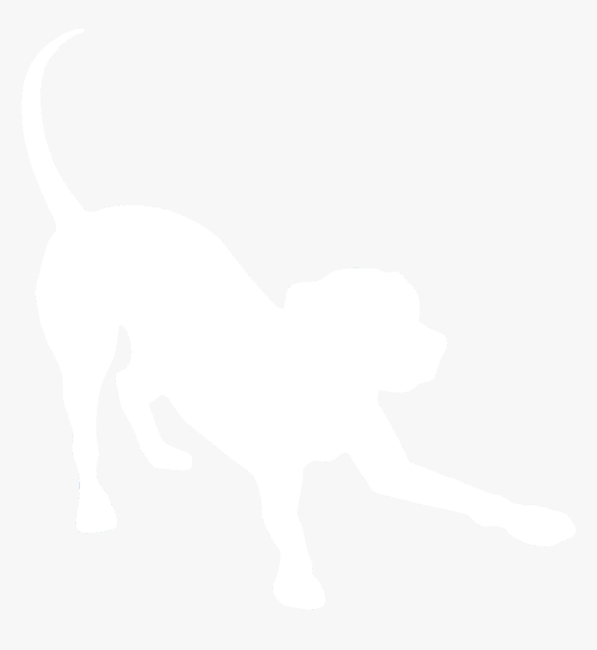 Dog Catches Something, HD Png Download