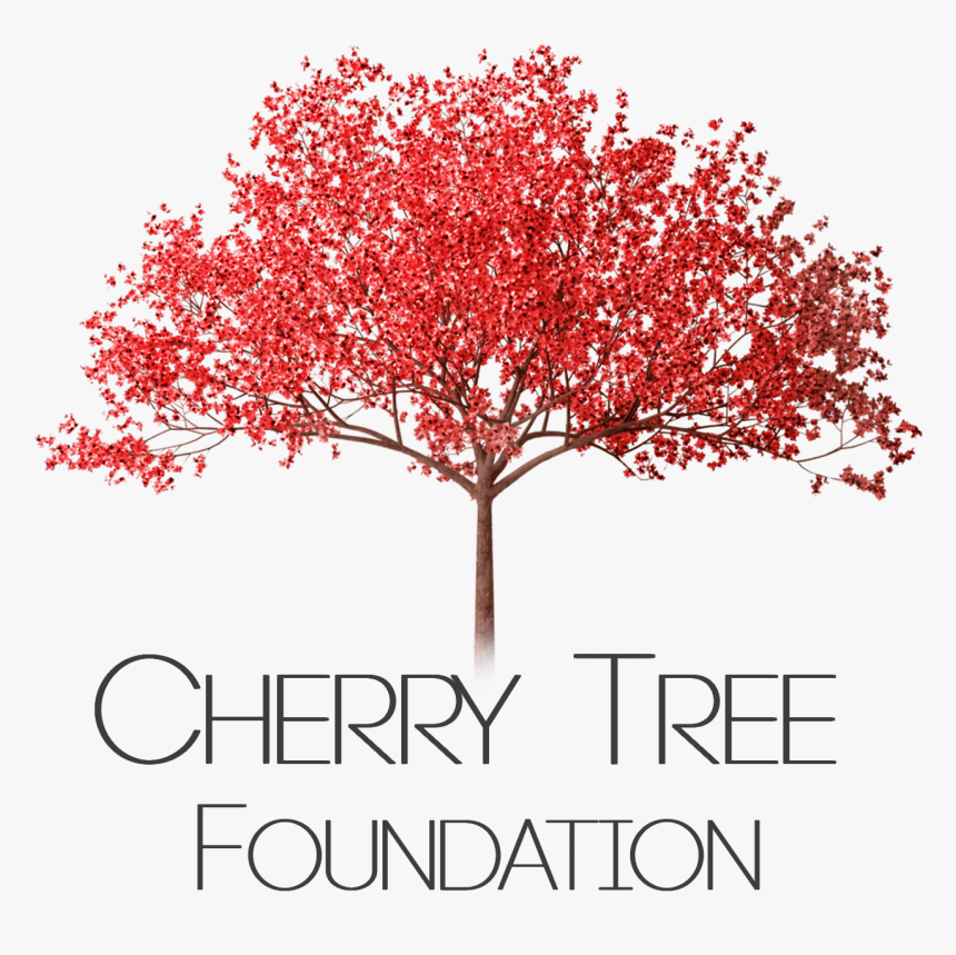 Cherry Tree Png - Cherry Blossom Tree Png, Transparent Png