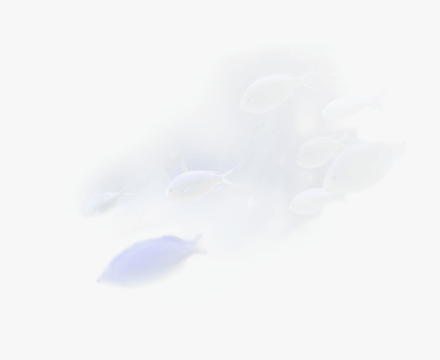 Painting, HD Png Download