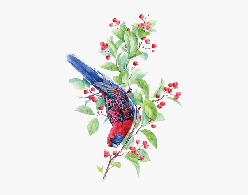 Watercolor Painting, HD Png Download