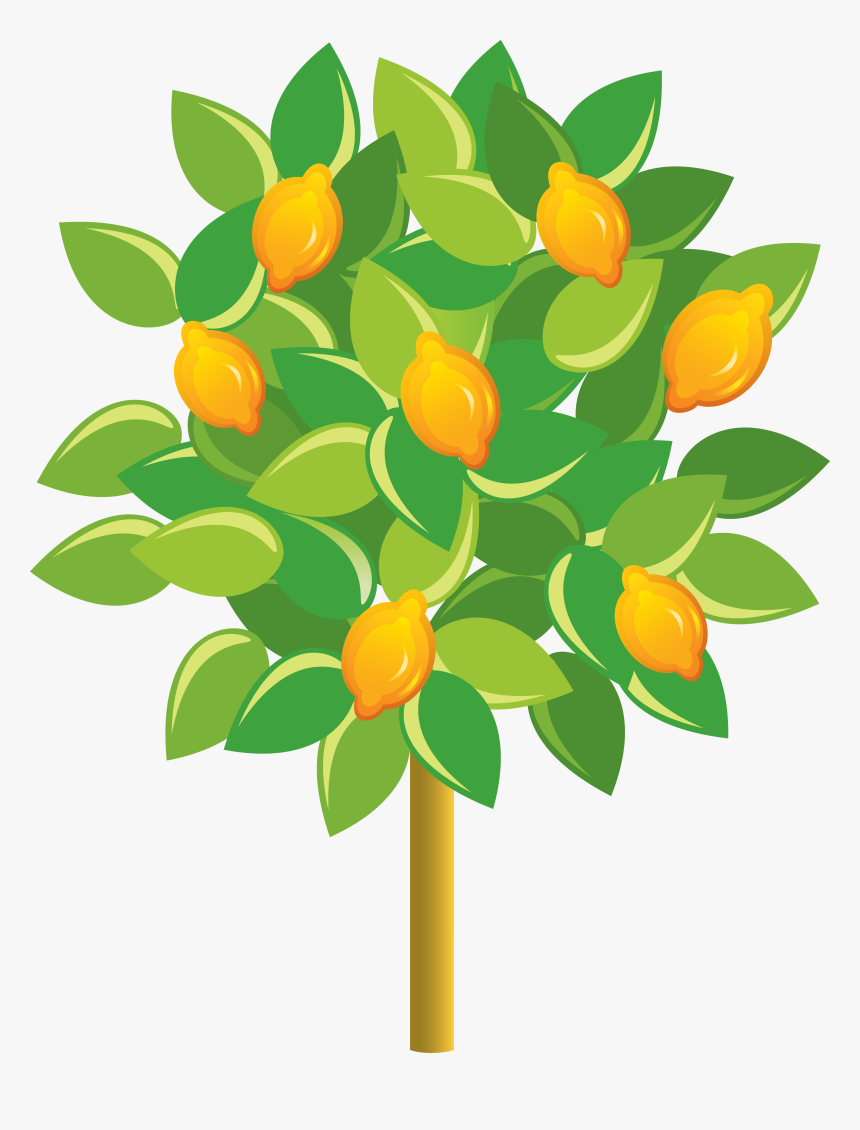 Fruit Tree Png, Transparent Png