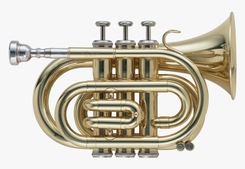 Instrumento Musical De Viento Compuesto, HD Png Download