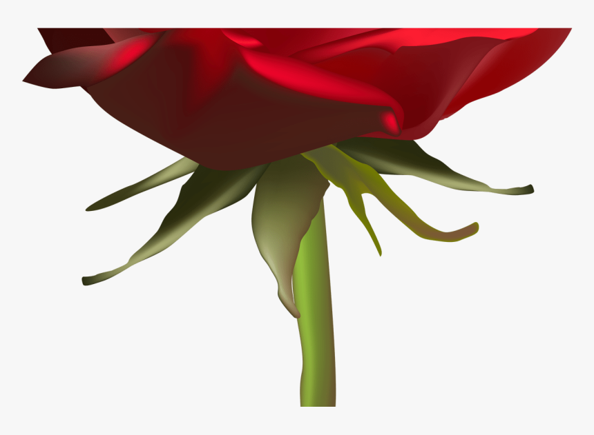 Beautiful Red Rose Png Clip Art Image Gallery Yopriceville - Rose, Transparent Png