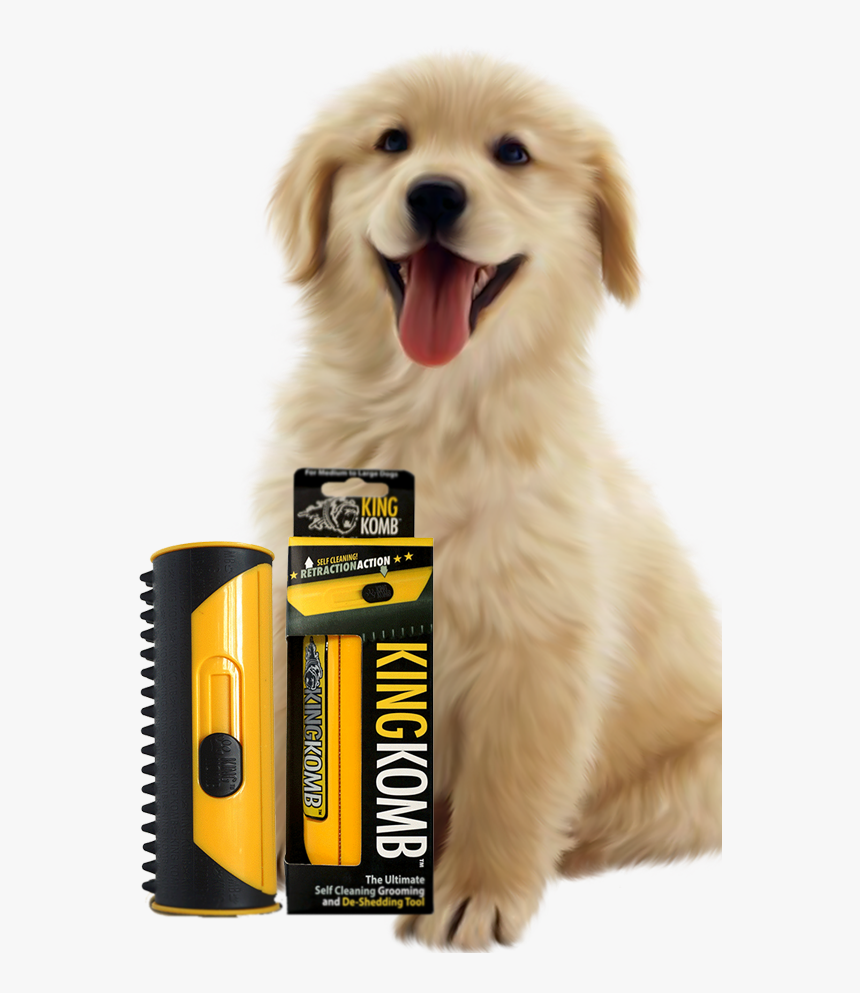 Dog Png Images Hd, Transparent Png