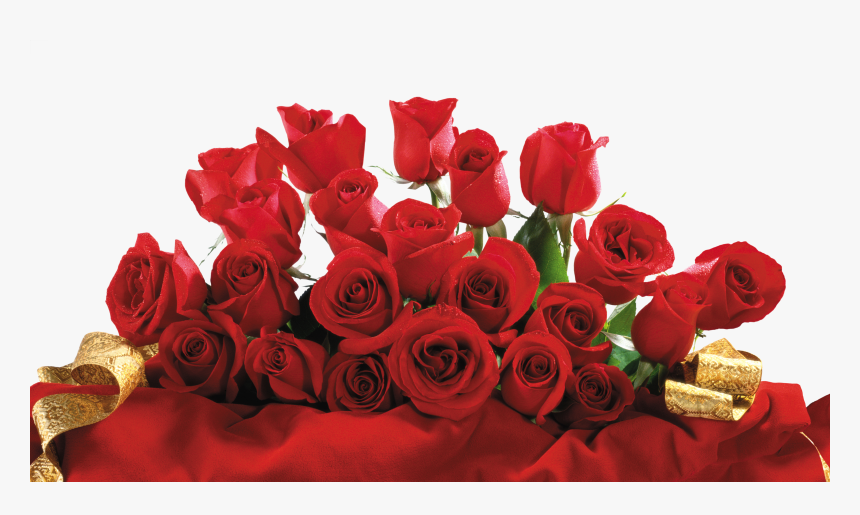 Rose Png, Transparent Png