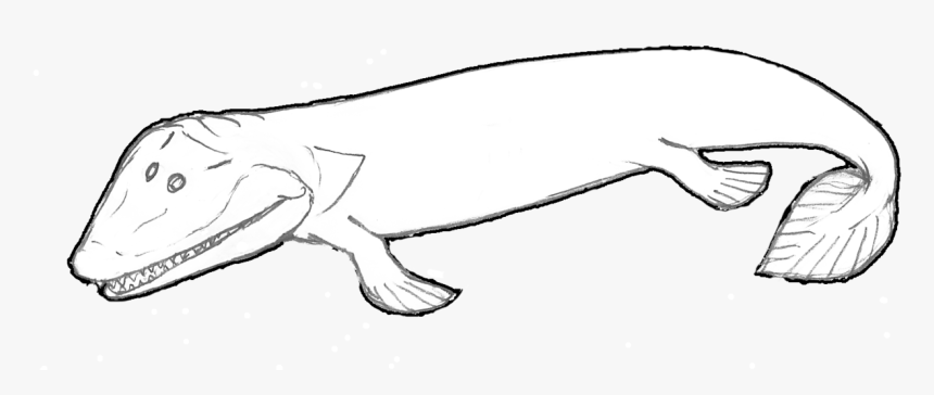Lobe Finned Fish Draw, HD Png Download