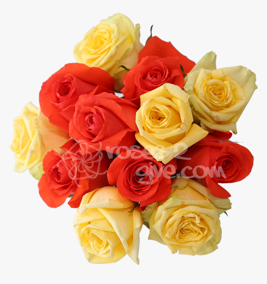 Orange Combination 
 Title Yellow - Floribunda, HD Png Download