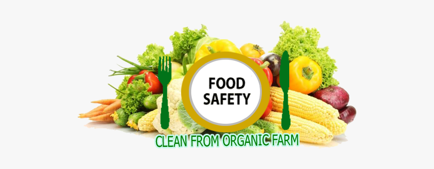 Indian Vegetables, HD Png Download