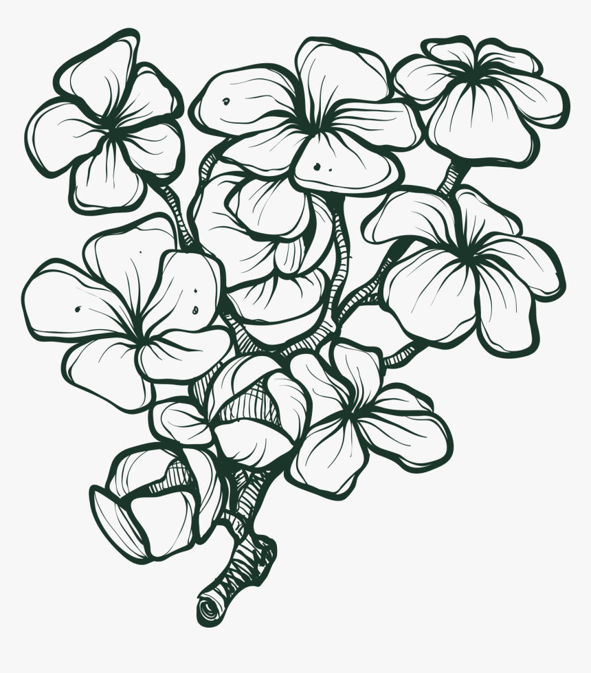Drawing, HD Png Download