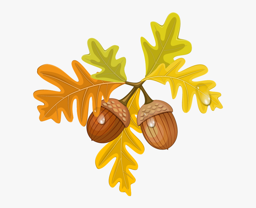 松 果 手繪, HD Png Download