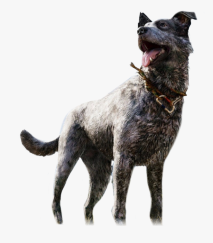 ##farcry5 #farcry #boomer #dog #pumkinfarm - Far Cry 5 Boomer, HD Png Download