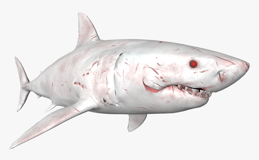 Great White Shark, HD Png Download