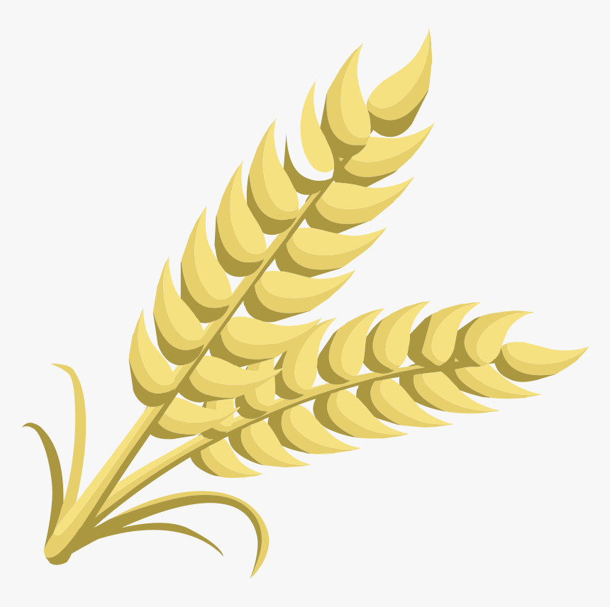 Grain Clipart, HD Png Download