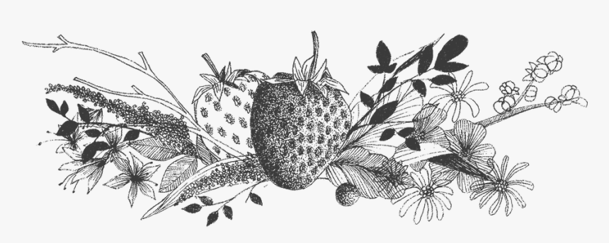 Illustration, HD Png Download