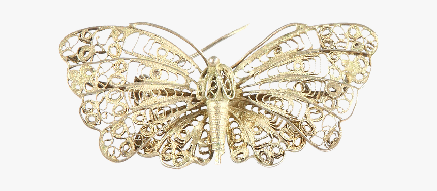 Moth, HD Png Download