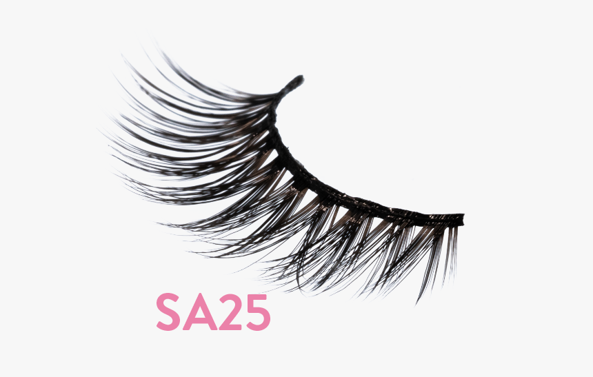 Amplified Lash - Sa25 - Eyelash Extensions, HD Png Download
