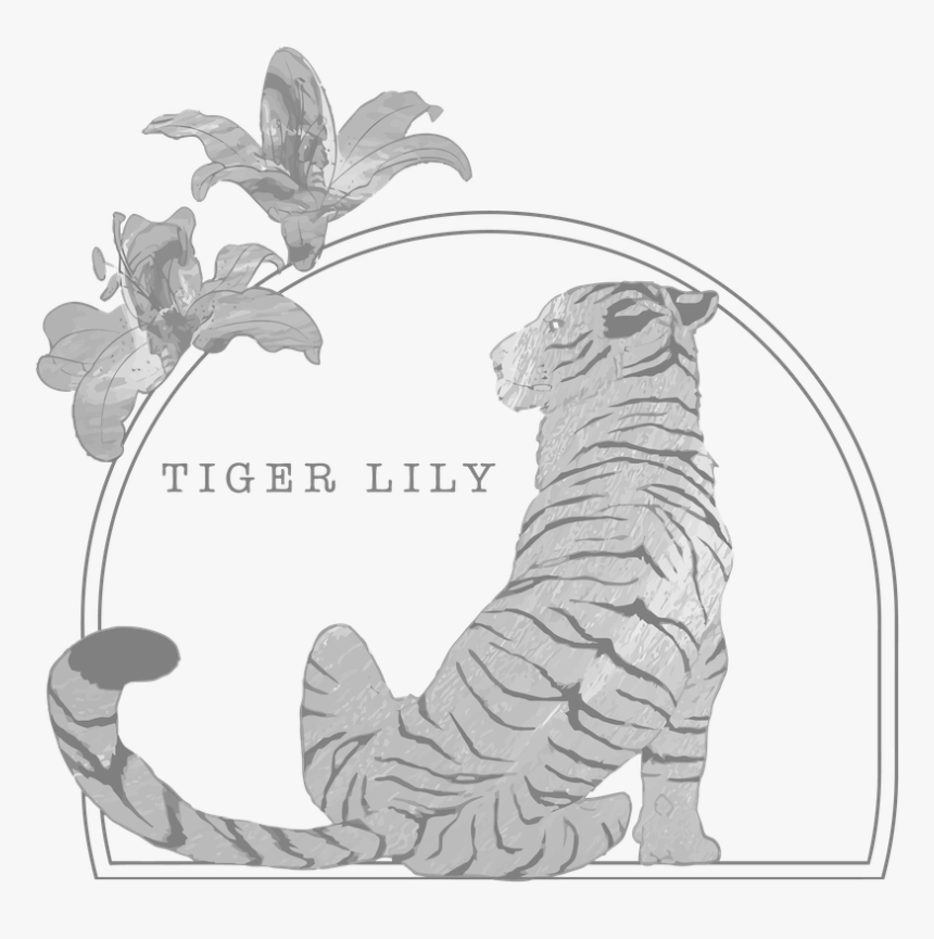 Illustration, HD Png Download