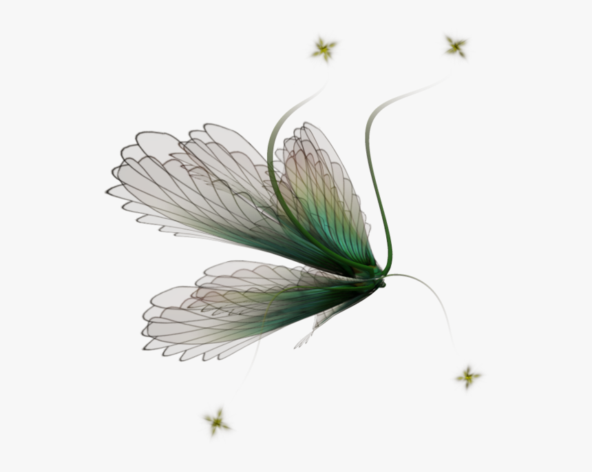 Thumb Image - Tinker Bell, HD Png Download