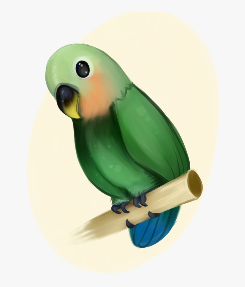 Birb Drawing Love Bird Huge Freebie Download For Powerpoint - Green Peach Faced Lovebird Vector, HD Png Download