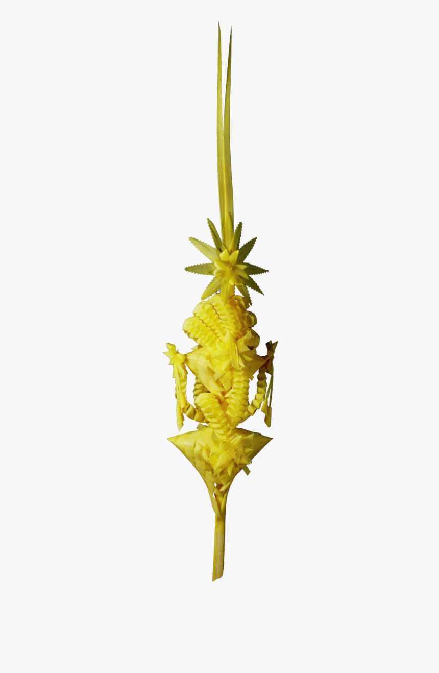 Heliconia, HD Png Download