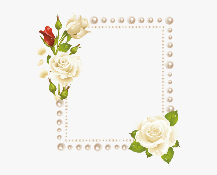 Red Rose Frames, HD Png Download
