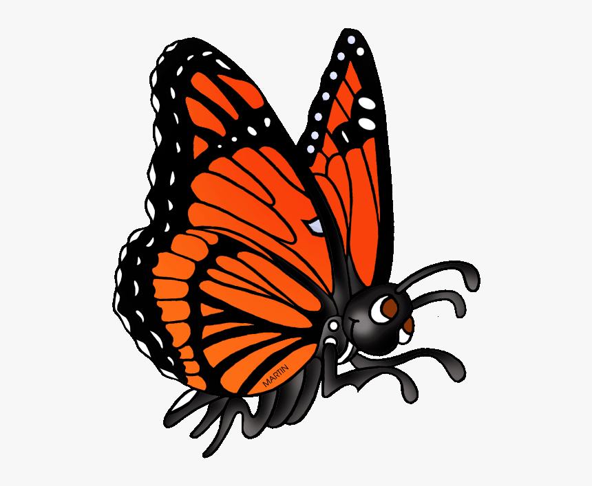 Clip Art Viceroy Clipart - Animals Can Butterfly Clipart, HD Png Download