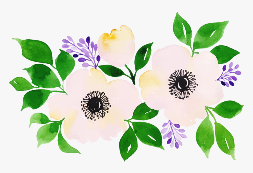 Rosa Glauca, HD Png Download