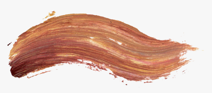 Colour Paint Brush Png, Transparent Png