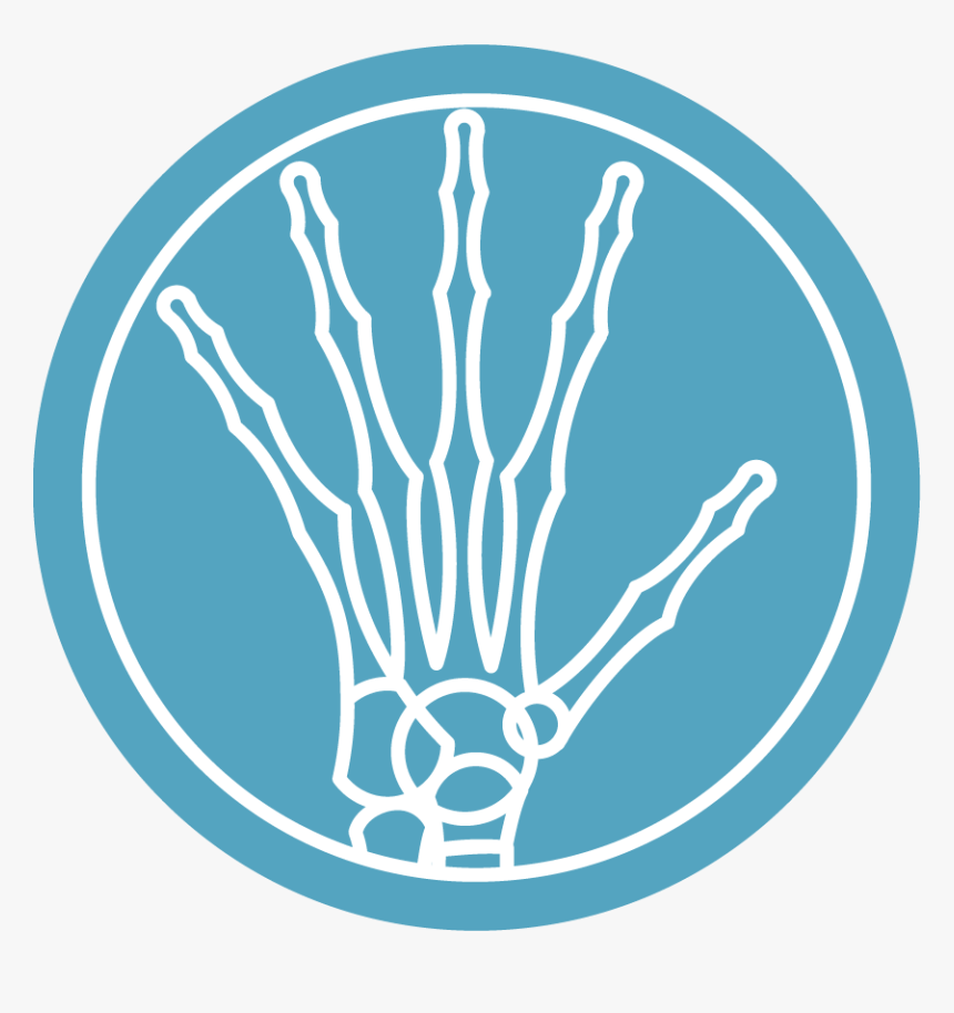 Circle, HD Png Download