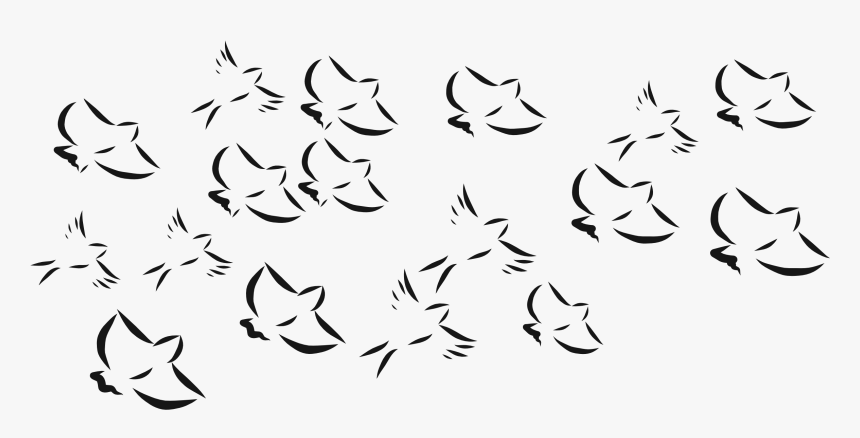 Taxonomists Lumpers And Splitters, HD Png Download