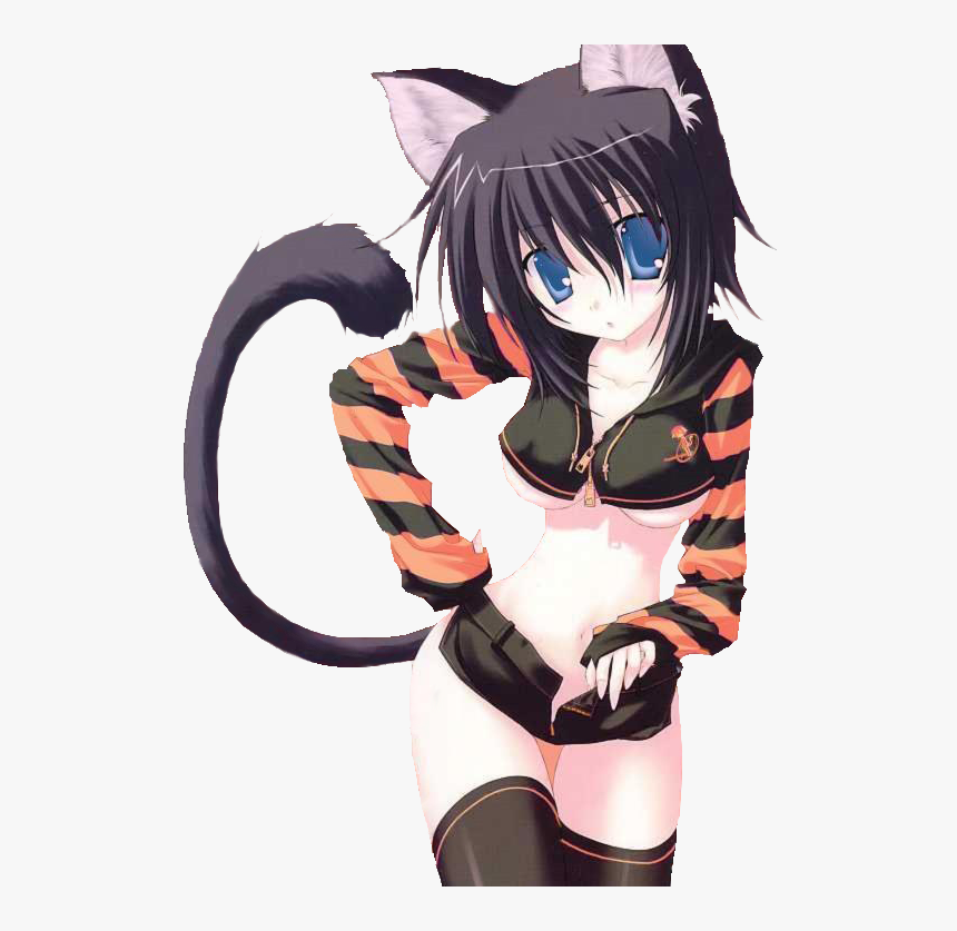 Anime Neko, HD Png Download