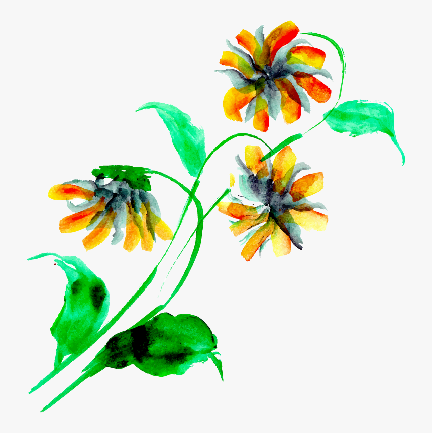 Lily Family, HD Png Download