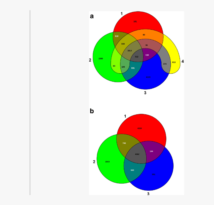 Circle, HD Png Download