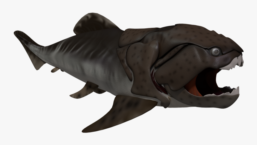 Great White Shark, HD Png Download
