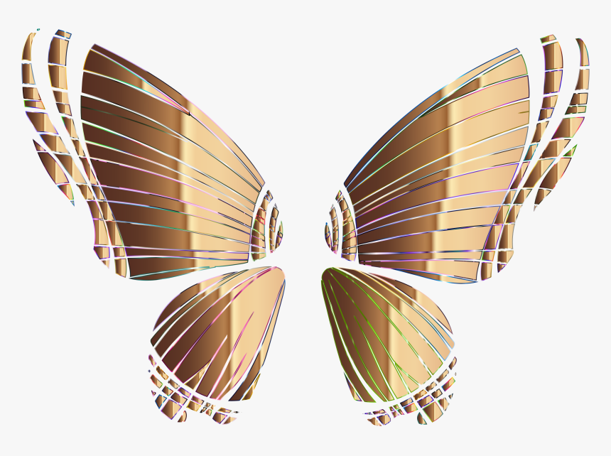 Butterfly,symmetry,moth - Alas De Mariposa Png, Transparent Png