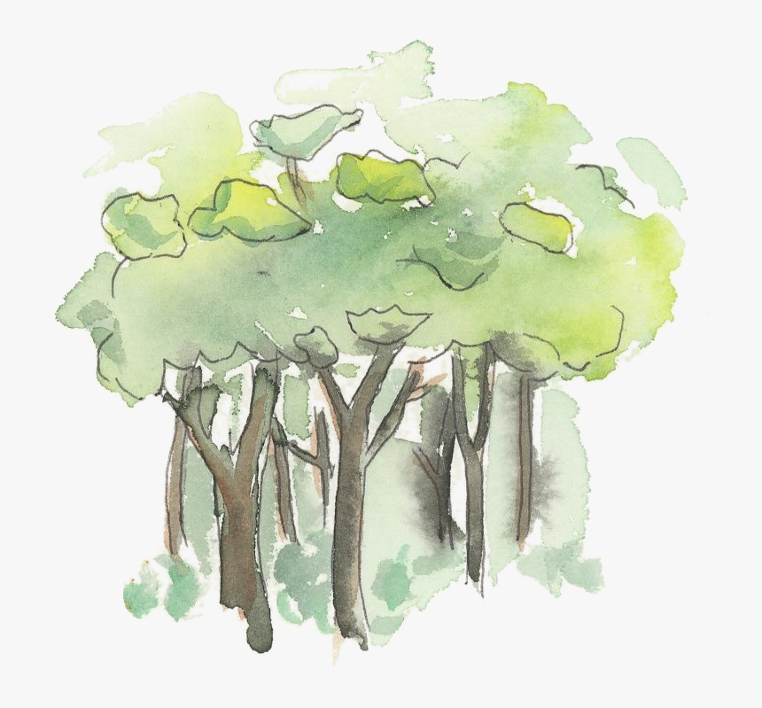 Illustration, HD Png Download