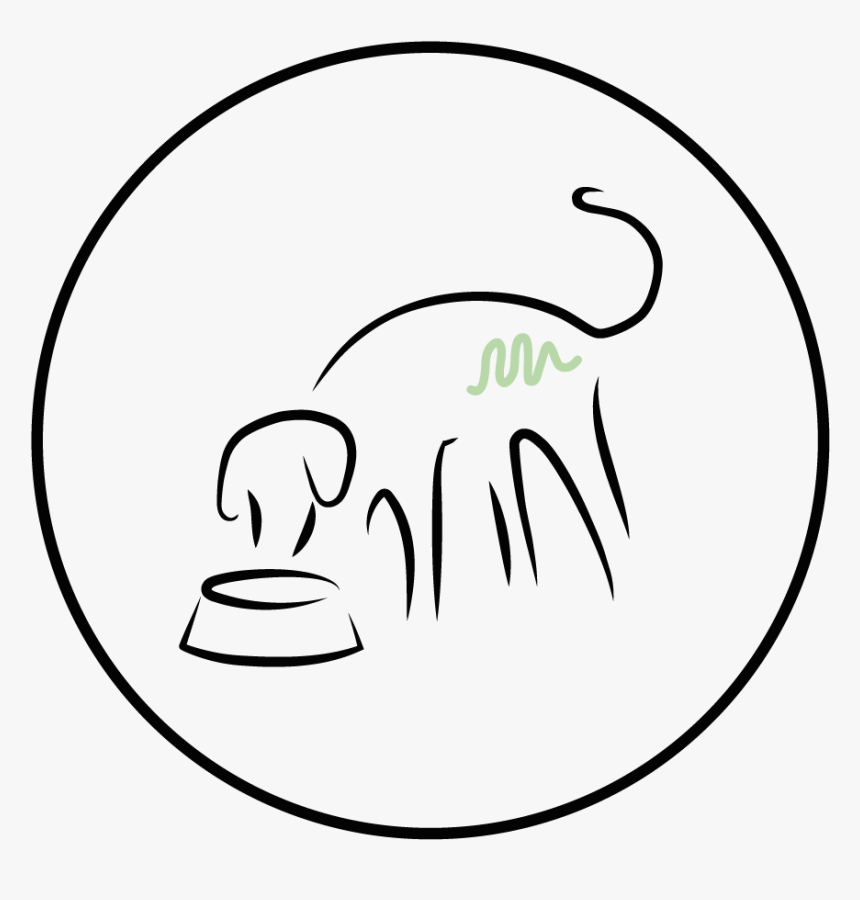 Ocean Fish Png, Transparent Png