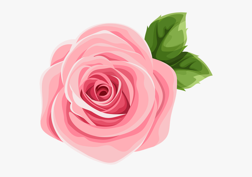 Floribunda, HD Png Download