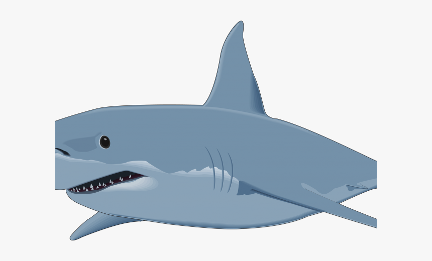 Bull Shark Clipart Shark Shadow - Great White Shark Clipart, HD Png Download