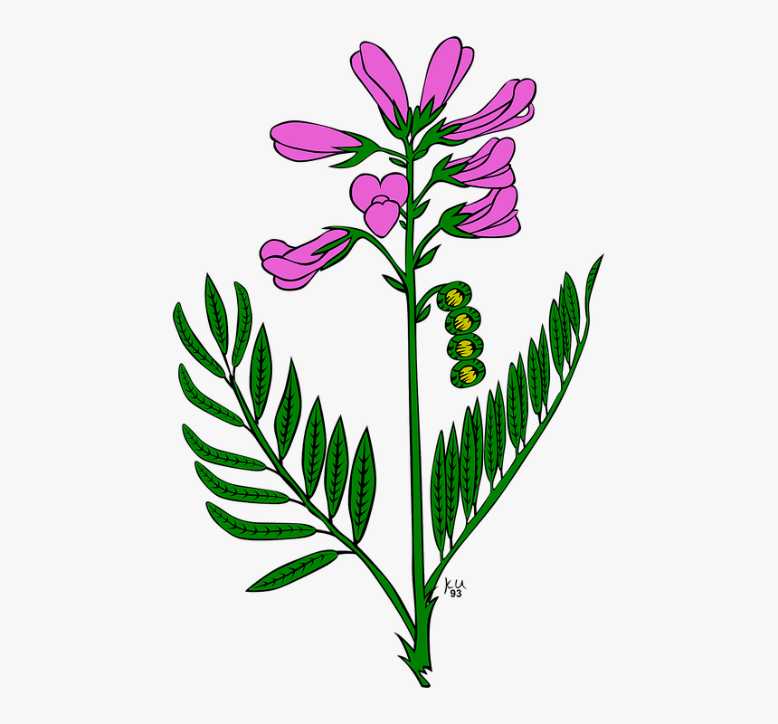 Snap Dragons Clip Art, HD Png Download