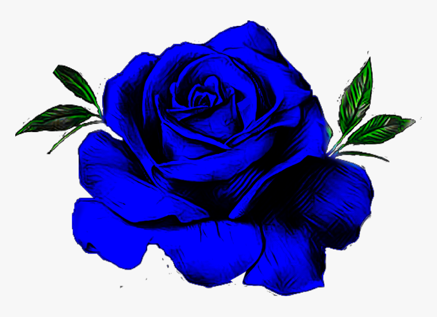 #blue #rose #flower - Floribunda, HD Png Download