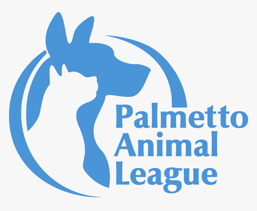 Palmetto Animal League - Graphic Design, HD Png Download