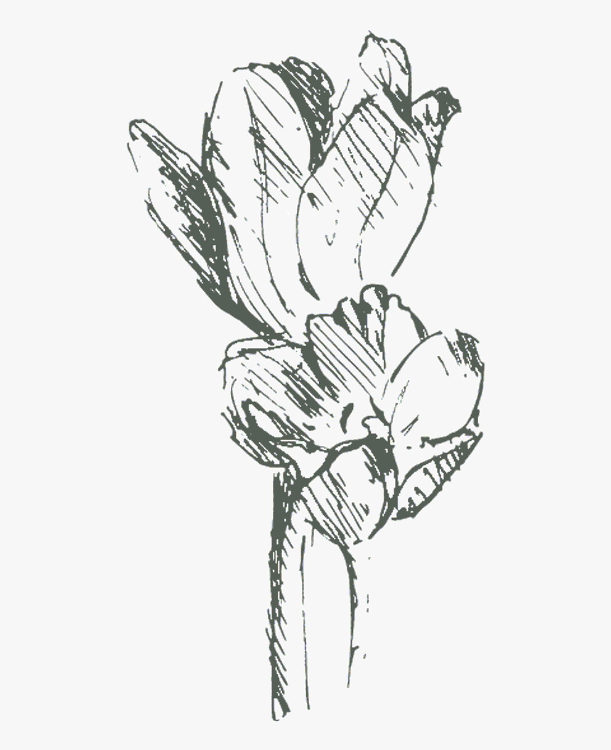 Gothic Border Png, Transparent Png