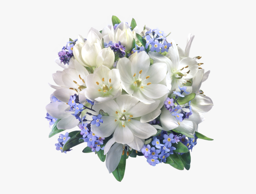 Blue With White Flowers Png, Transparent Png
